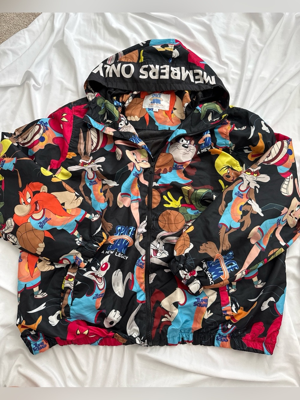 Men’s Space Jam Black Multicolor Cartoon Hooded Windbreaker Jacket